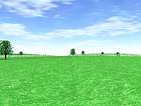 grassland.jpg (23170 bytes)
